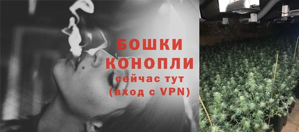 дживик Дмитриев