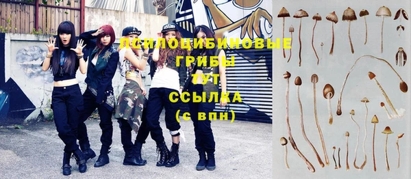 а пвп мука Дмитровск
