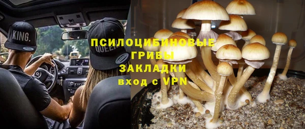 дживик Дмитриев