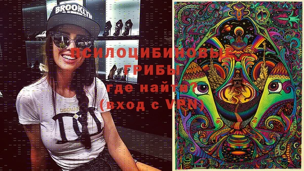 прущая мука Дмитров