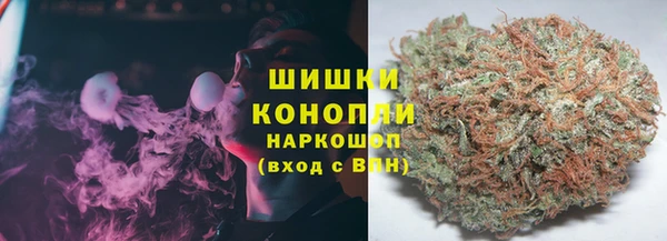 дживик Дмитриев