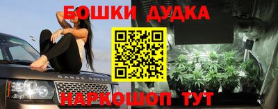 индика Ливны