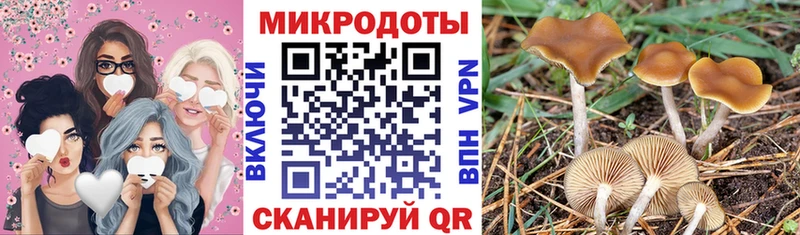 Псилоцибиновые грибы ЛСД  Сатка 